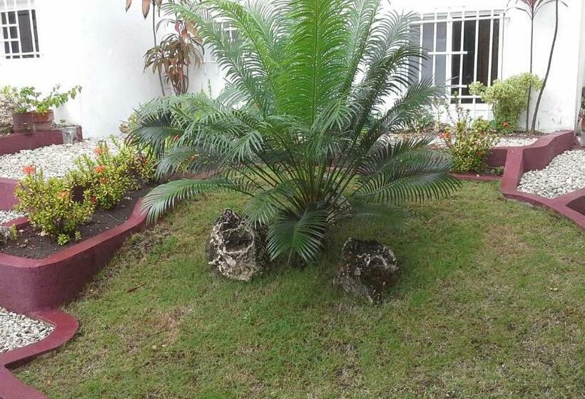 Номер Стандарт, House Rapunzel