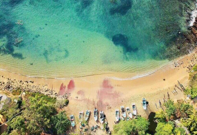 اتاق استاندارد با بالکن و چشم‌انداز دریا, Amour Surf