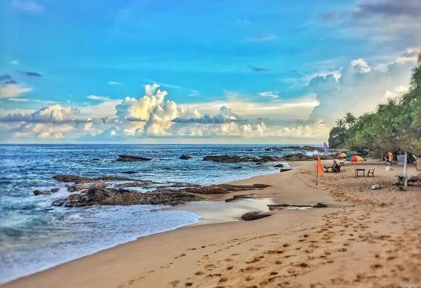 اتاق استاندارد با بالکن و چشم‌انداز دریا, Amour Surf