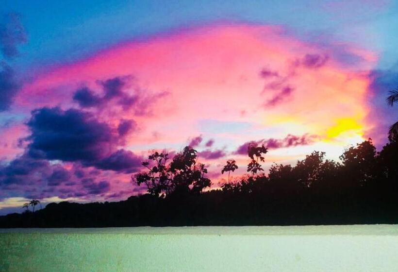 اتاق استاندارد با چشم‌انداز دریا, Amour Surf