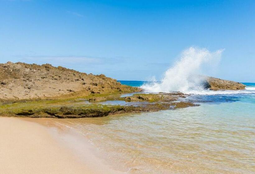 Deluxe Suite Sea View, Discovery Inn & Suites At 681 Ocean Drive