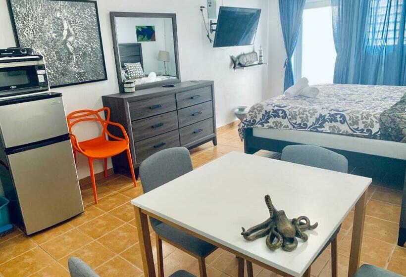 سوئیت جونیور با تخت بزرگ, Discovery Inn & Suites At 681 Ocean Drive