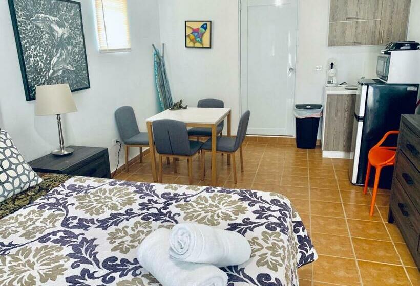 سوئیت جونیور با تخت بزرگ, Discovery Inn & Suites At 681 Ocean Drive