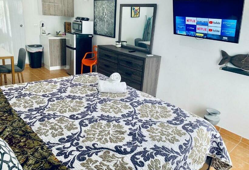 سوئیت جونیور با تخت بزرگ, Discovery Inn & Suites At 681 Ocean Drive