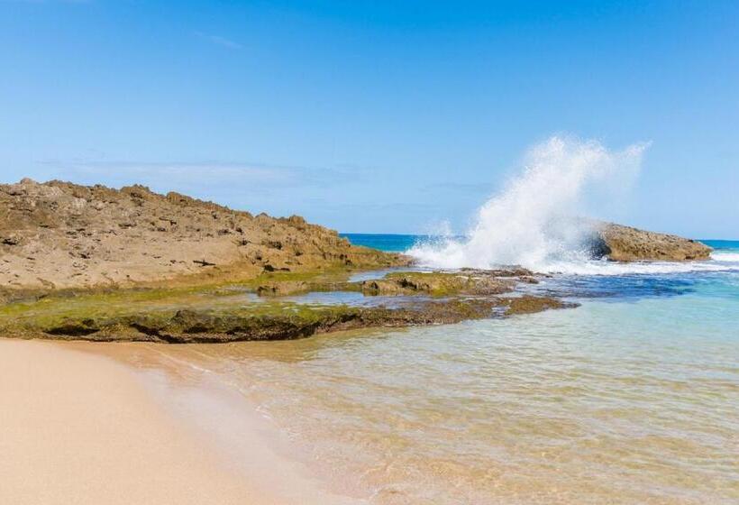 سوئیت جونیور با تخت بزرگ, Discovery Inn & Suites At 681 Ocean Drive