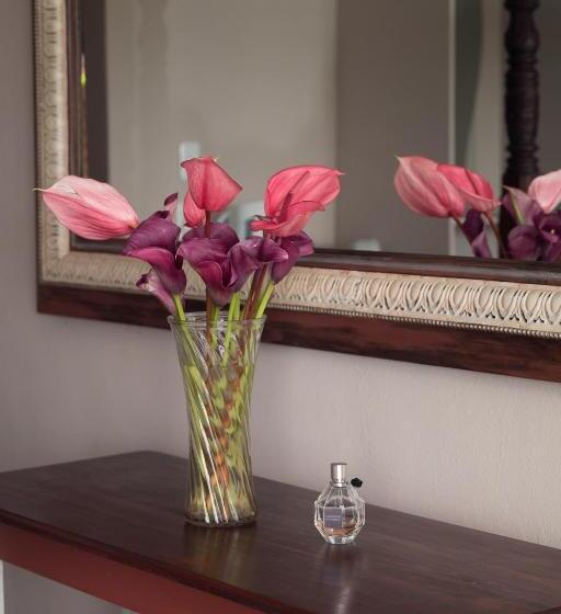 חדר סטנדרט, Annie's Boutique Guesthouse And Garden Spa