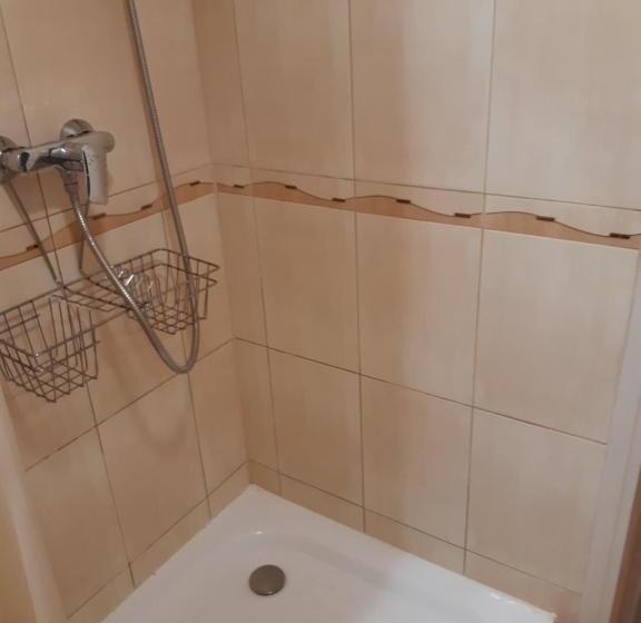 اتاق سوپریور خانوادگی, Lana