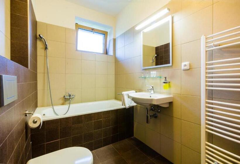 标准工作室, Penzion U Barana