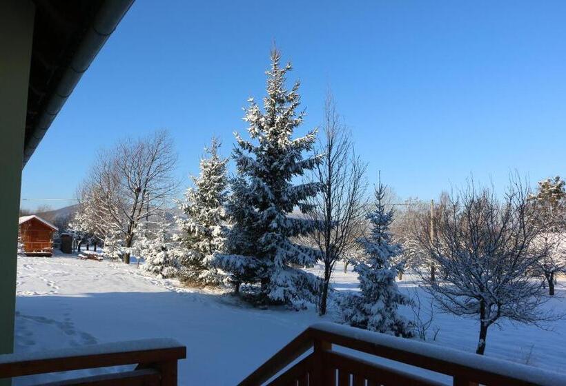 带露台的标准工作室, Penzion U Barana