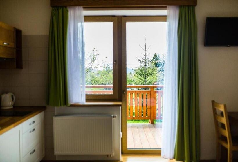 带露台的标准工作室, Penzion U Barana