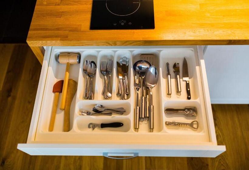 带露台的标准工作室, Penzion U Barana