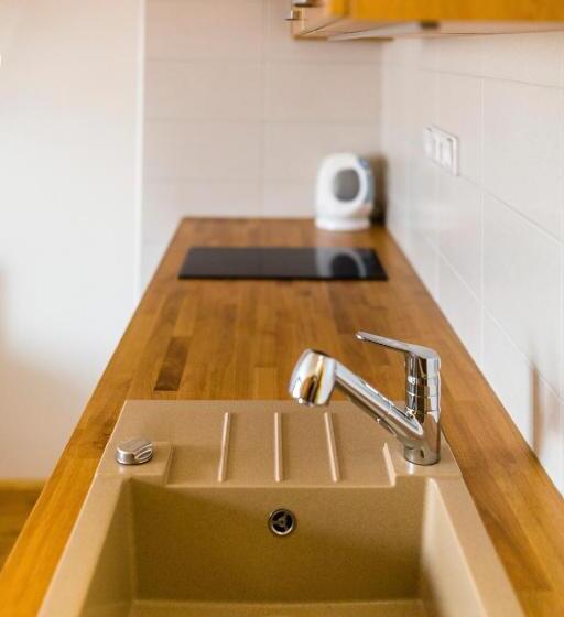 带露台的标准工作室, Penzion U Barana