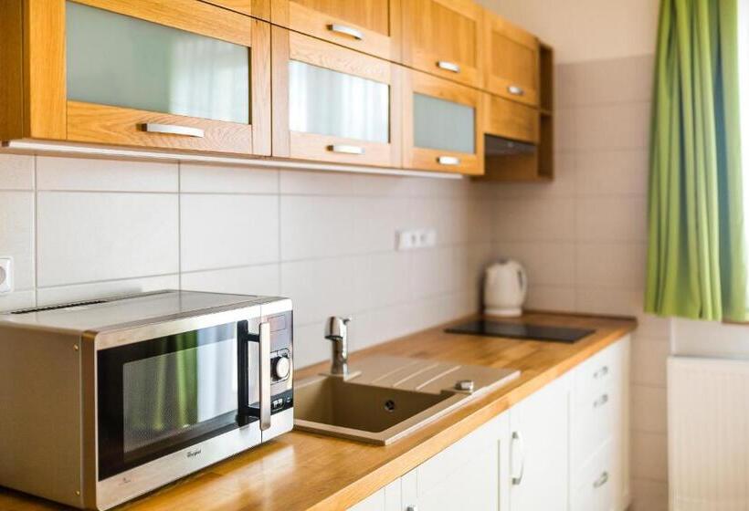 带露台的标准工作室, Penzion U Barana