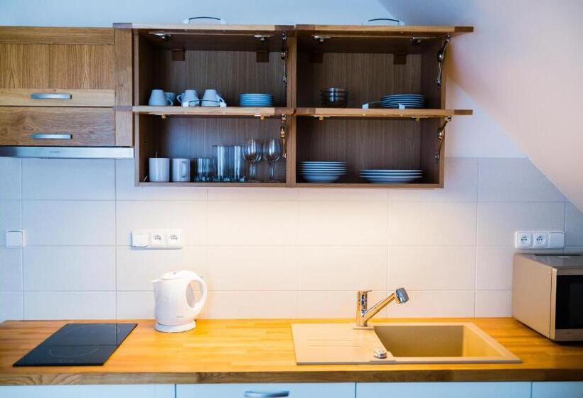 带1个卧室的公寓, Penzion U Barana