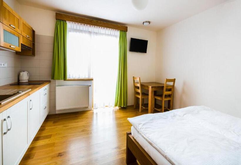 带露台的标准工作室, Penzion U Barana