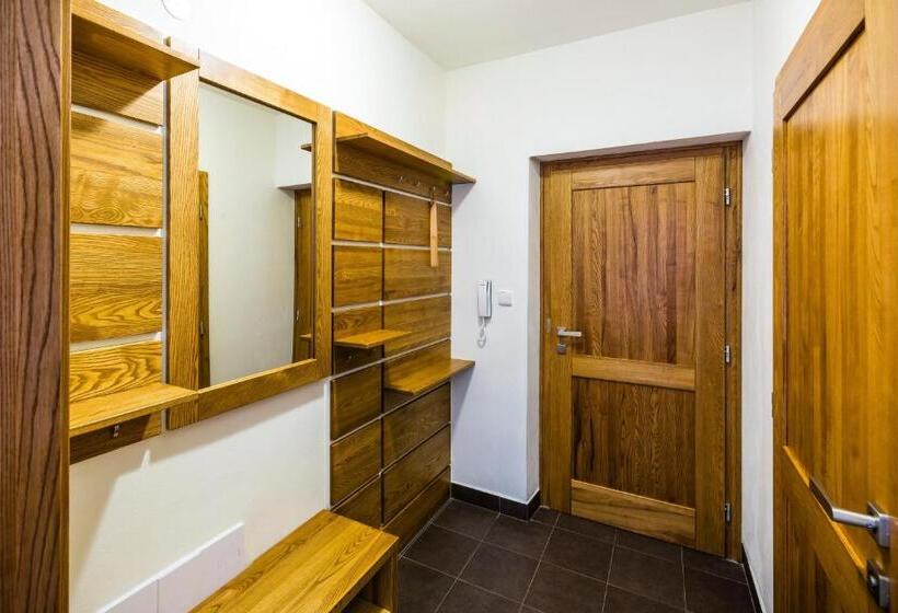 带露台的标准工作室, Penzion U Barana