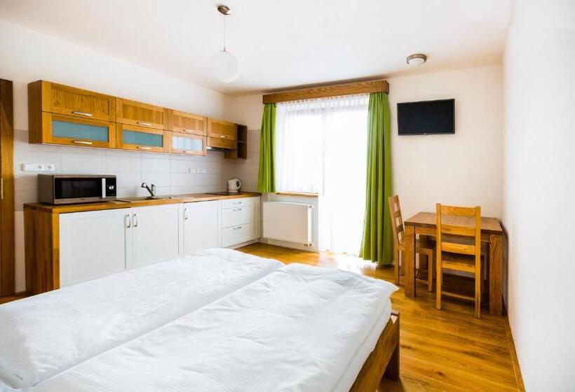 带露台的标准工作室, Penzion U Barana