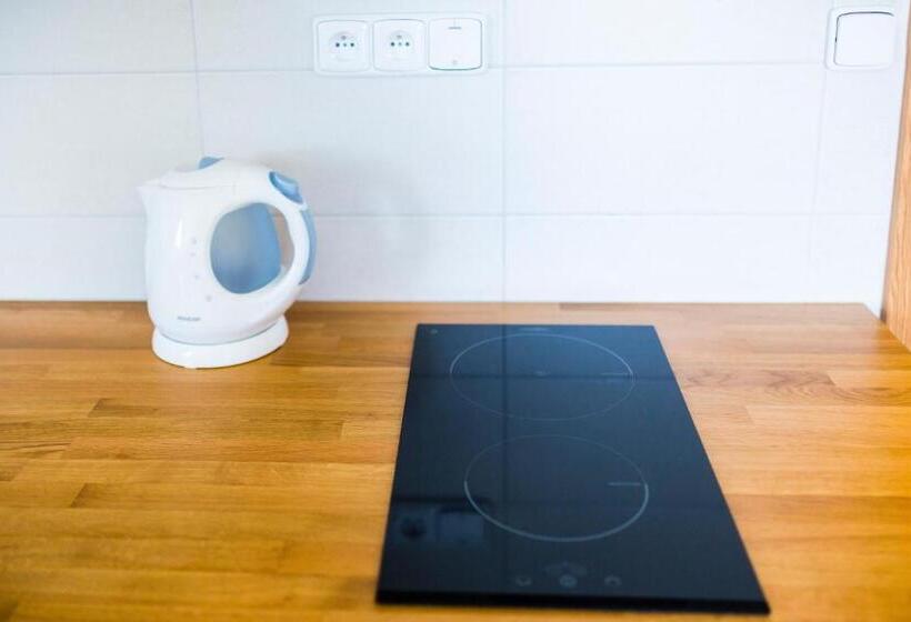 带1个卧室的公寓, Penzion U Barana