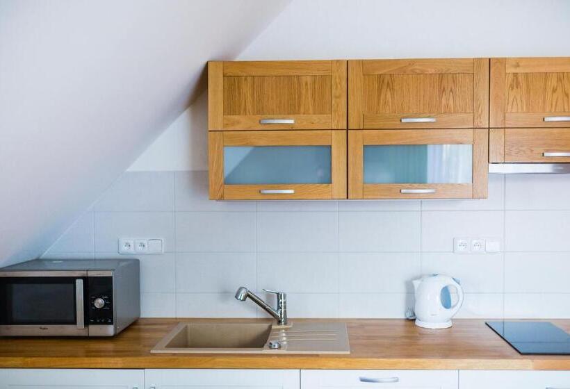 带1个卧室的公寓, Penzion U Barana