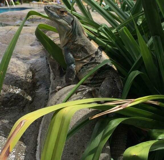 Апартаменты 2 Спальни, Sunset Heights 402