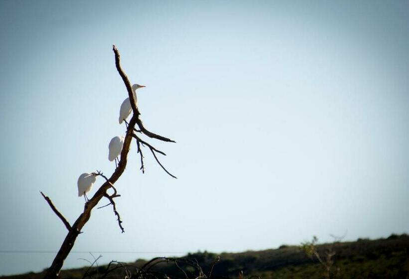 بنجلو قياسى غرفتين نوم, Kweekkraal Guest Farm