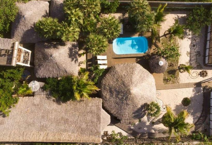 1间卧室的房子, Terra Patris