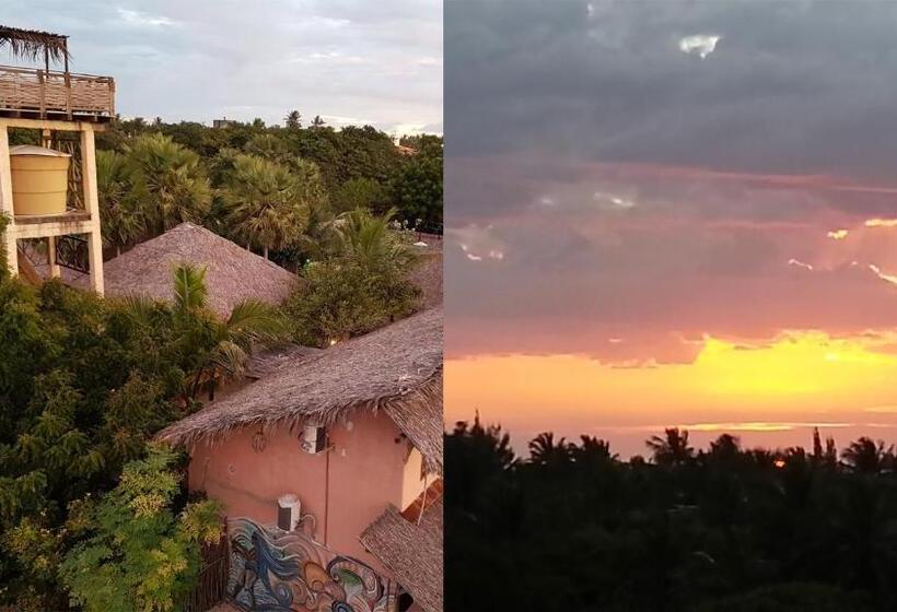 1间卧室的房子, Terra Patris