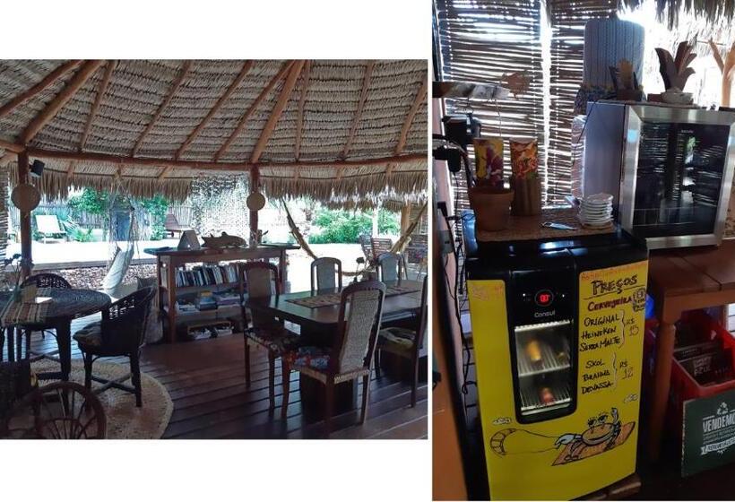 1间卧室的房子, Terra Patris