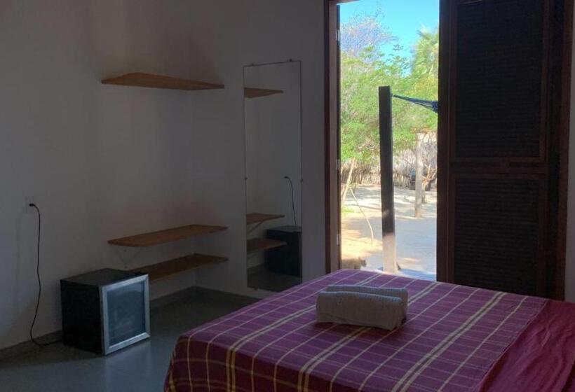 جناح مطلّ علي الحديقة, Terra Patris