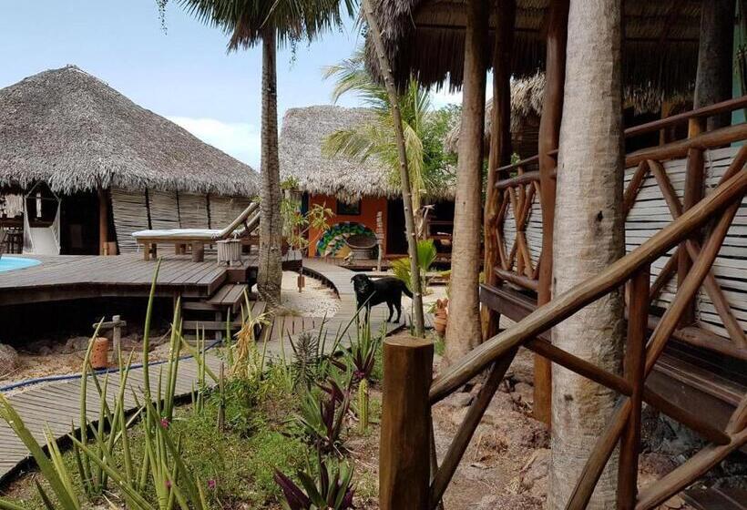 一居室别墅, Terra Patris