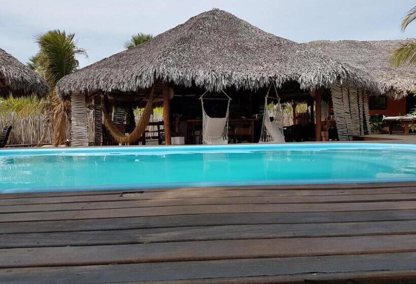 一居室别墅, Terra Patris