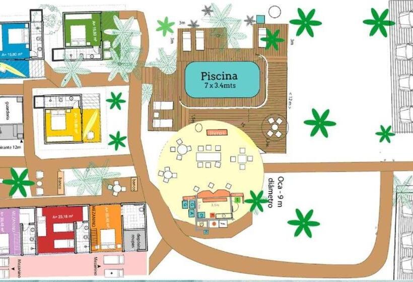 جناح, Terra Patris