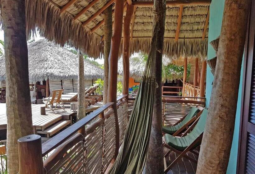 شاليه غرفة نوم واحدة, Terra Patris