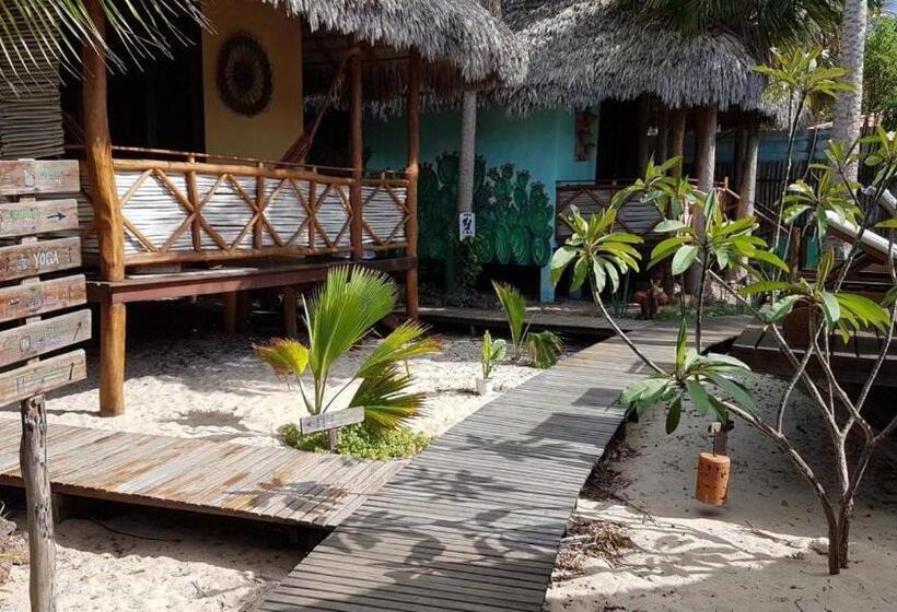 شاليه غرفة نوم واحدة, Terra Patris