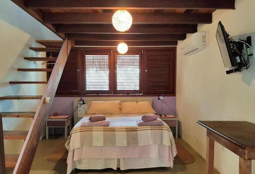 套房, Terra Patris