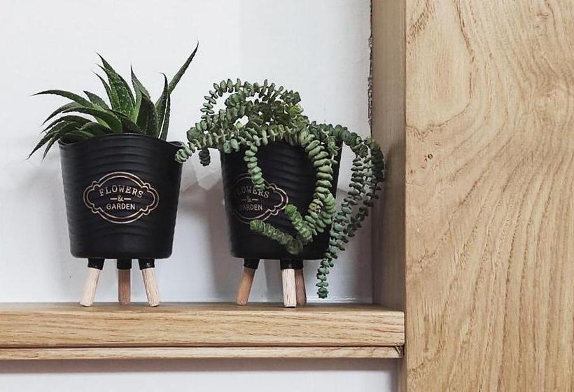 استودیوی استاندارد, The House Apartments & Guest Rooms