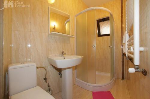 شقة غرفة واحدة, Pension Camelia