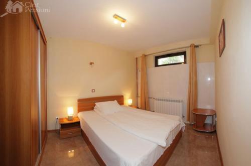 إستوديو قياسى, Pension Camelia