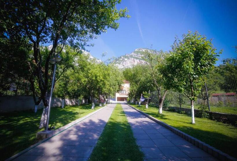 Номер Стандарт, Pensiunea Jojo