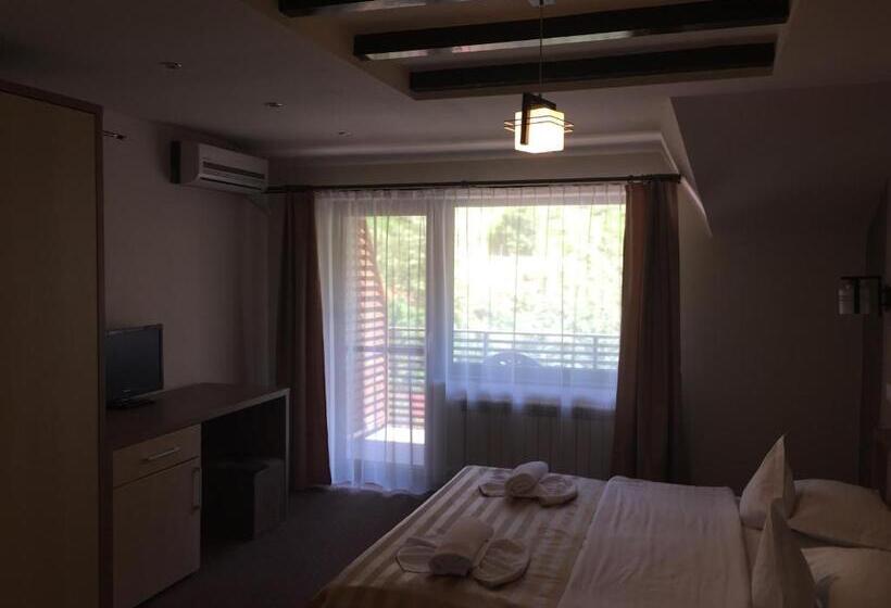 Люкс с гидромассажем, Pensiunea Jojo