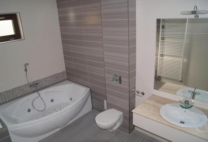 Люкс с гидромассажем, Pensiunea Jojo