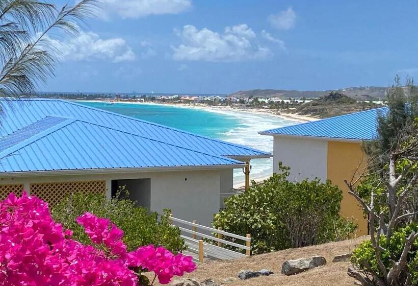 استودیو استاندارد با تخت کینگ, Studio Orient Bay