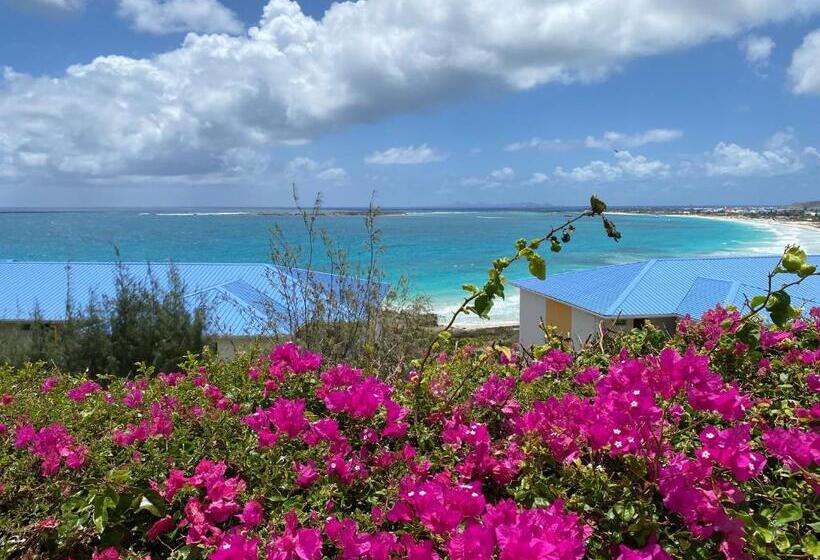 استودیو استاندارد با تخت کینگ, Studio Orient Bay