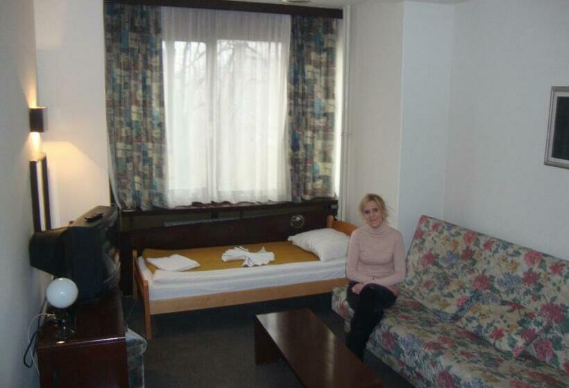 اتاق استاندارد یک نفره, B&b Inex Negotin