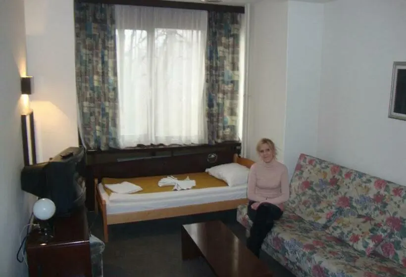 اتاق استاندارد یک نفره, B&b Inex Negotin