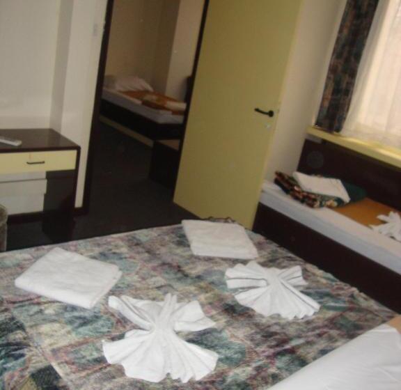 آپارتمان 1 خوابه, B&b Inex Negotin