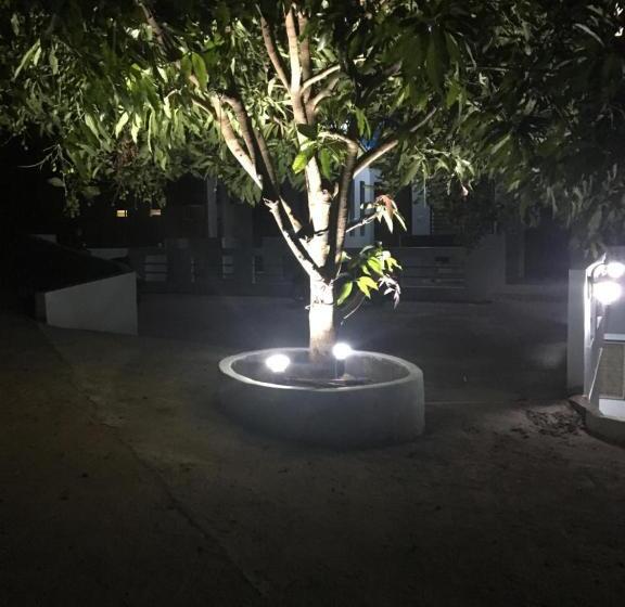 اتاق استاندارد سه نفره, Ocean View Resort