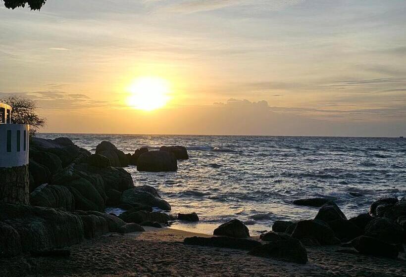 اتاق لوکس, Ocean View Resort