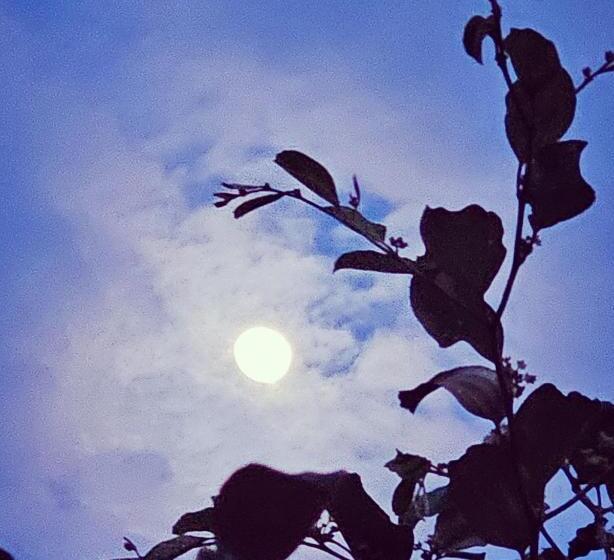 اتاق استاندارد با چشمانداز دریا, Ocean View Resort