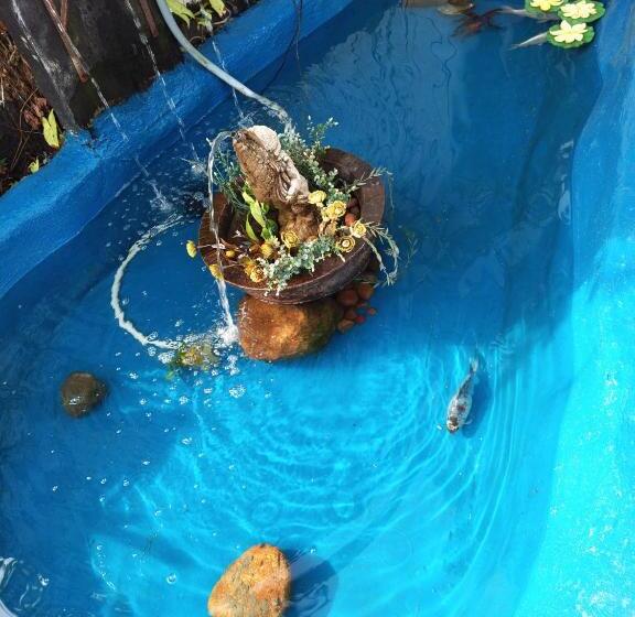 エクゼクティブスイート, Queensburgh B&b Or Self Catering